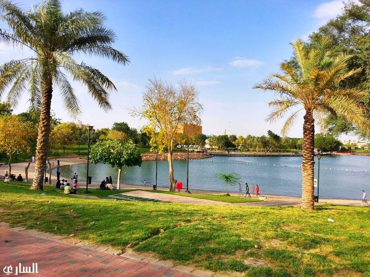 Al Salam Park