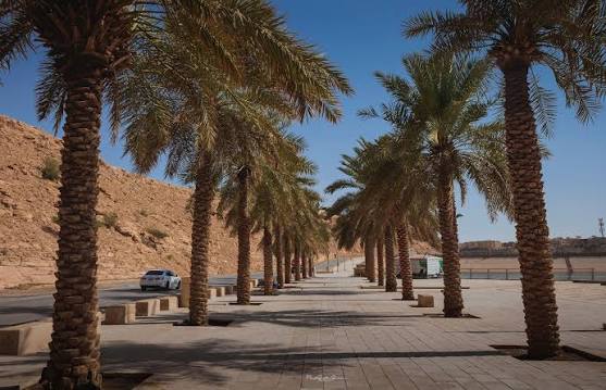 Wadi Namar Waterfall & Dam Park