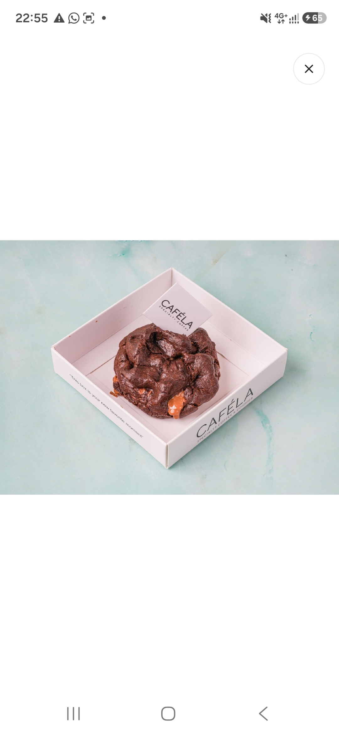 Double chocolate cookie